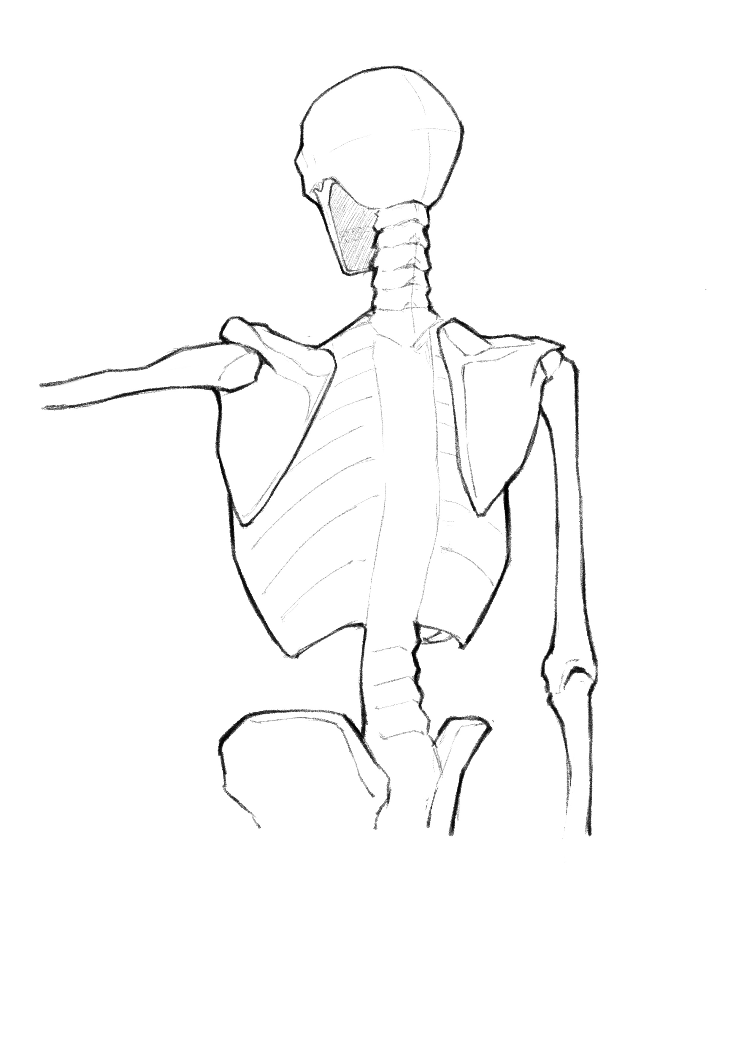 胴体 #3 背面の層