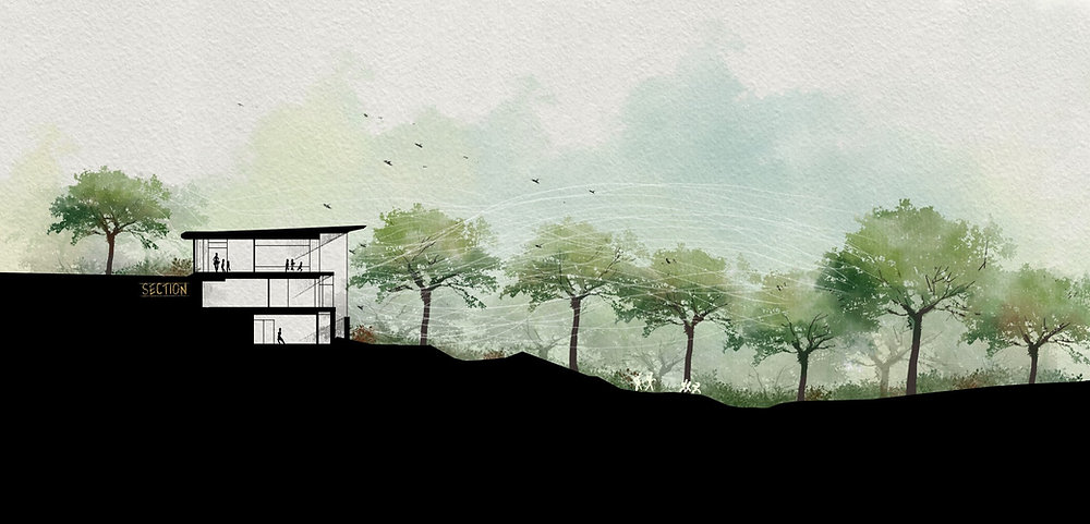 IAAP P1-2 初期スケッチ