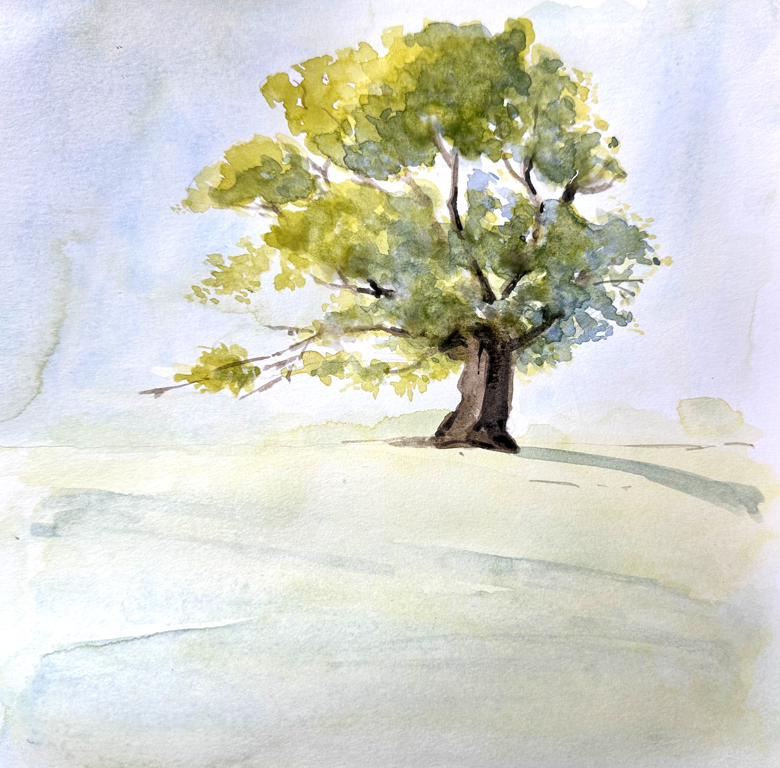 fd86b808dc1a5c85346f2f320684885